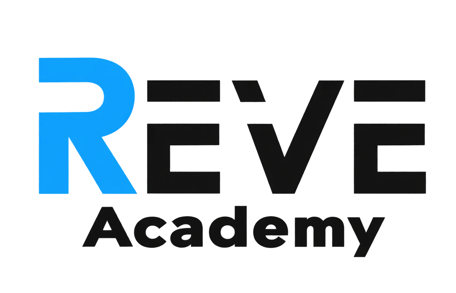 REVE ACADEMY